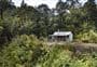 Upper Te Hoe Hut