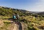 Whareroa Farm tracks