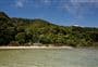 Awaroa Campsite