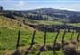 William Hartree Memorial Reserve walks