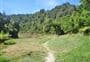 Mangapapa Campsite