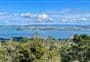Rangitoto Summit Track