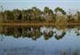 Kaituna Wetland Loop Track