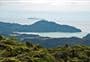 Tokatea Lookout Walking Track