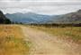 Christchurch to Little River Rail Trail