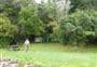 Jacobs Bay Campsite