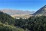 Temple Viewpoint Track