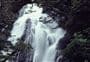 Fantail Falls Walk