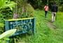 Mount Hutt Forest walking tracks