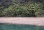 Ferndale Campsite