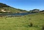 Pūponga Farm Track / Green Hills Route