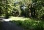 Donnelly Flat Loop Walk