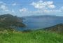 Harataonga Loop Track