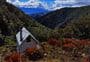 Turkeys Nest Bivvy