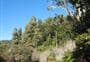Sanctuary Campsite