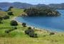 Urupukapuka Bay Campsite