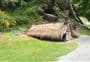 Arrowtown Chinese Settlement