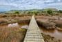 Aramoana Saltmarsh Walking Track