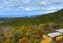 Whangaparapara: Te Ahumata Track