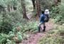 Kelly Knight Hut Track
