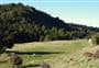 Waihī Gorge Campsite