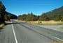 Totara Campsite