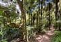 Mount William Walkway