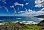 Te Henga Walkway