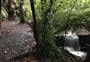 Momorangi Forest Experience Walk