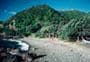 Fantail Bay Track
