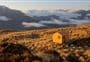 Mt Brown Hut