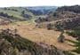 Gabriels Gully interpretation walk