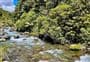 Whakapapa Nature Walk