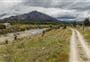 Hāwea River Track