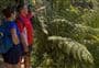 Kapiti Island tracks and walks