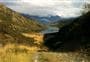 Lake Dispute to Moke Lake Track