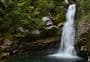 Wainui Falls Track