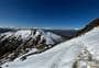 Ben Lomond Track