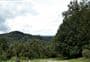 Kaimanawa Road Campsite