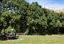 Kaituna Valley Scenic Reserve walk