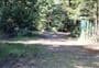 Army Road Campsite