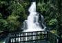 Waiatiu Falls Track