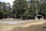 Hawdon Shelter Campsite