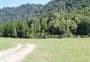 Te Pakau (Eight Acre) Campsite