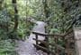 Taurewa Track