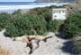 Allans Beach Walking Track