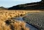 Aparima Hut to Princhester Saddle Track