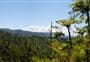 Karangahake Gorge Historic Walkway