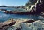Opera Point Walk