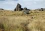 Obelisk Loop Track